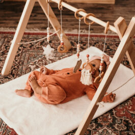 Baby Playgym E L L I